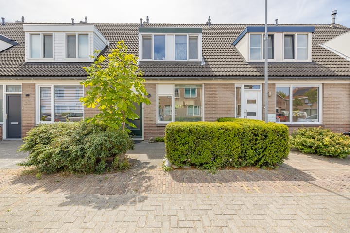 Foto 2 van Traptoren 6