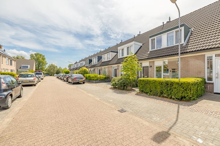 Foto 3 van Traptoren 6