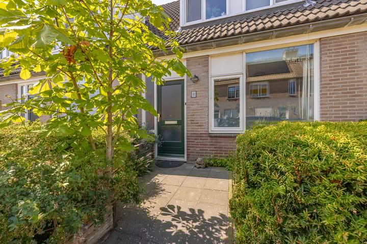 Foto 4 van Traptoren 6