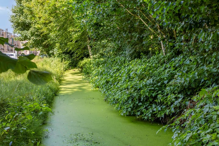 Foto 26 van Colenso 141