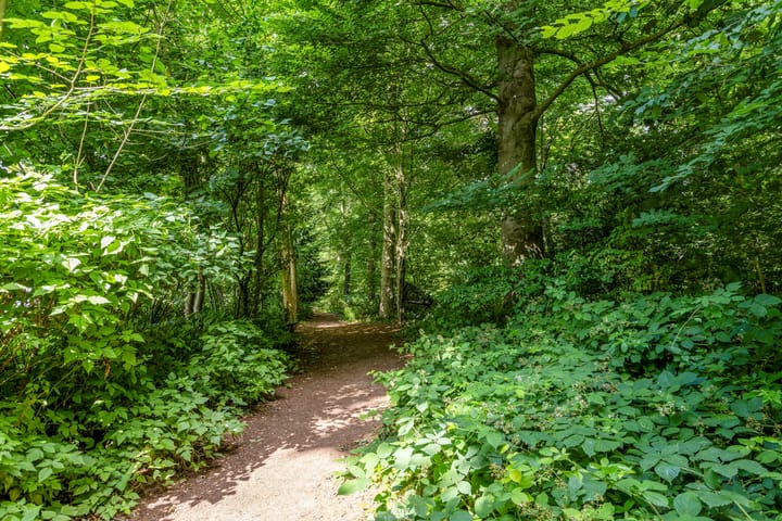 Foto 28 van Colenso 141