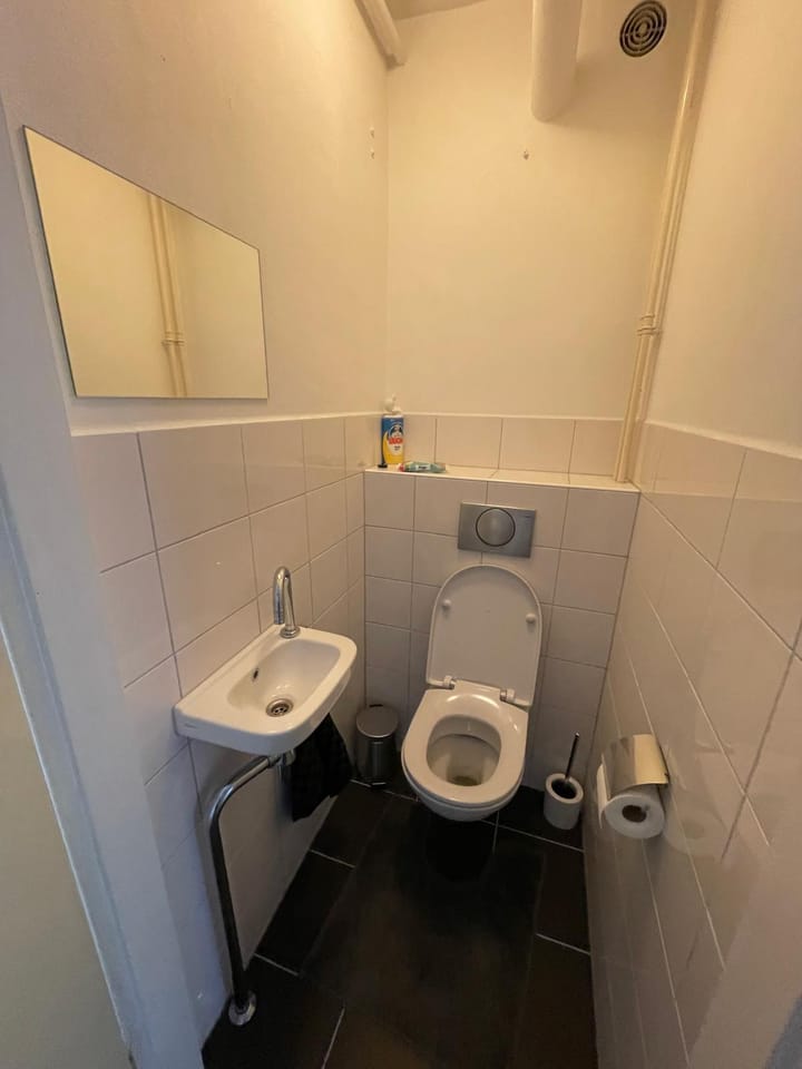 Foto 3 van Staringlaan 73