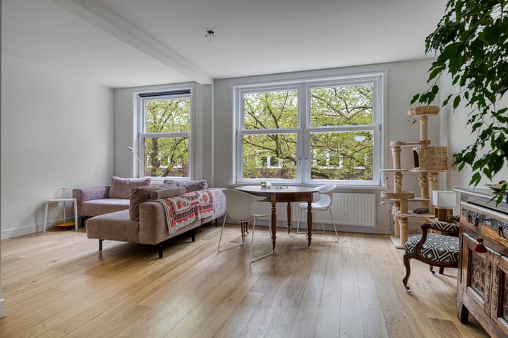 Foto 2 van Pieter van der Doesstraat 9-3