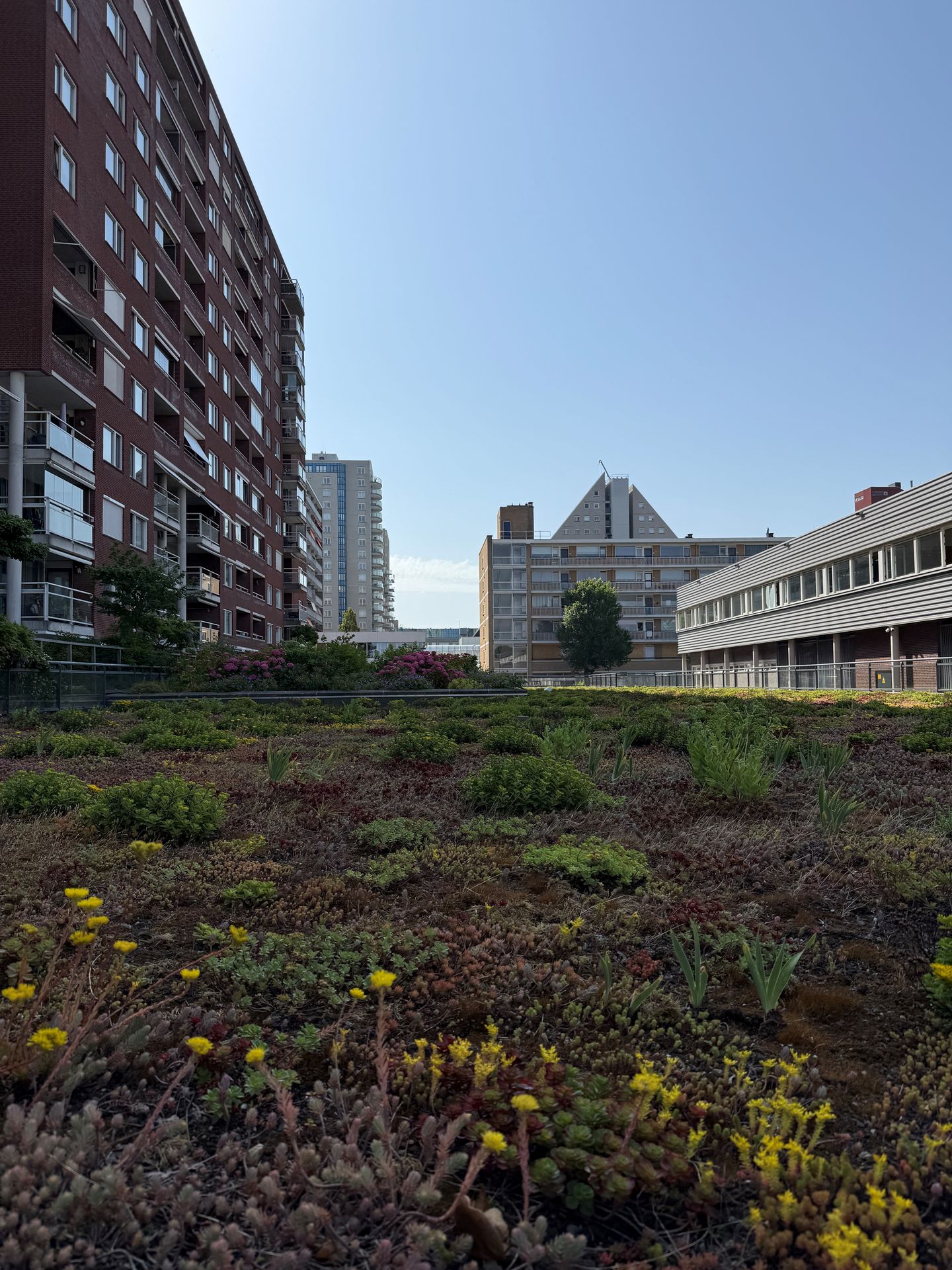 Foto 44 van Jhr. Carel Sternplein 51