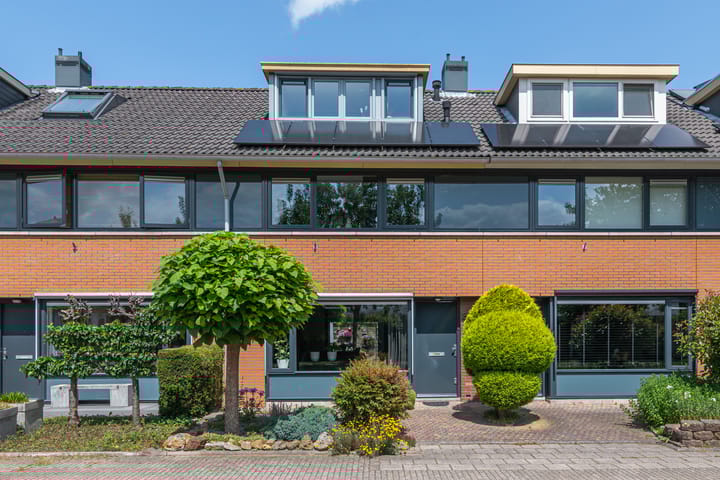 undefined main image
