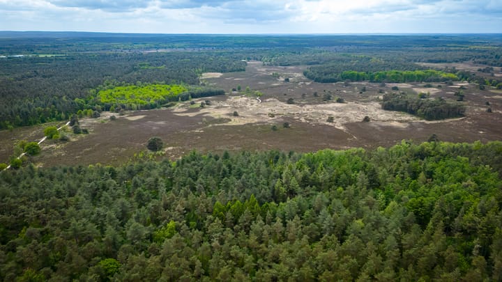 Foto 3 van Koeweg 21-129