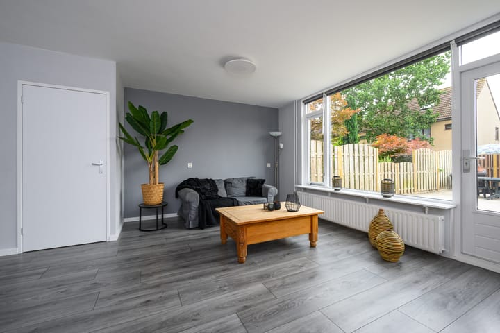 Foto 4 van Veenmospad 4