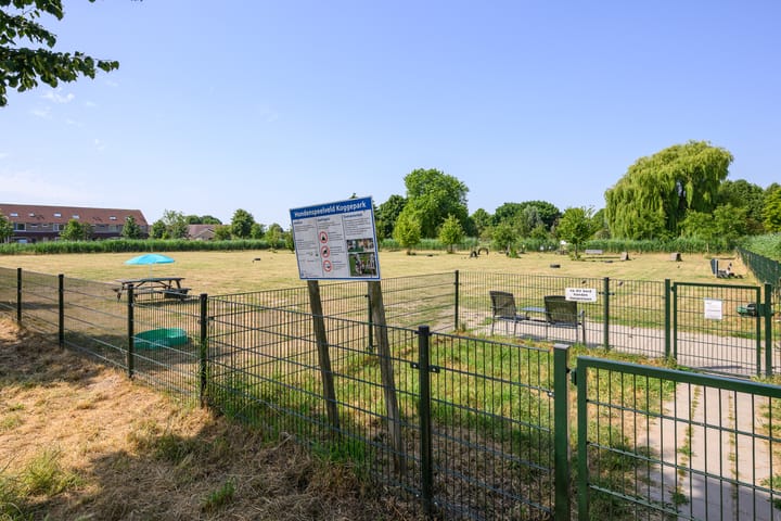 Foto 32 van Veenmospad 4