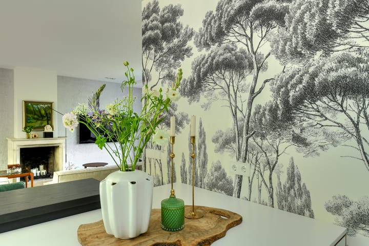 Photo 17 of Laan van Rasseghem 20