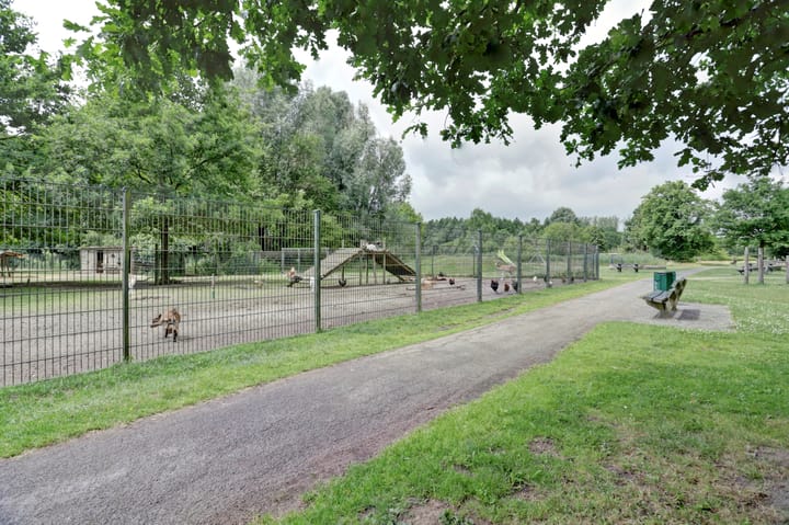 Foto 54 van Zonnedauw 3