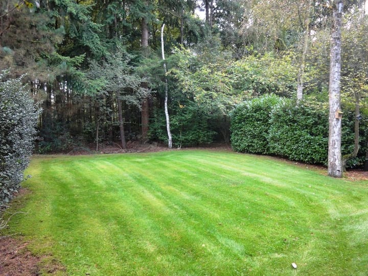 Foto 5 van Sanatoriumlaan 6-04