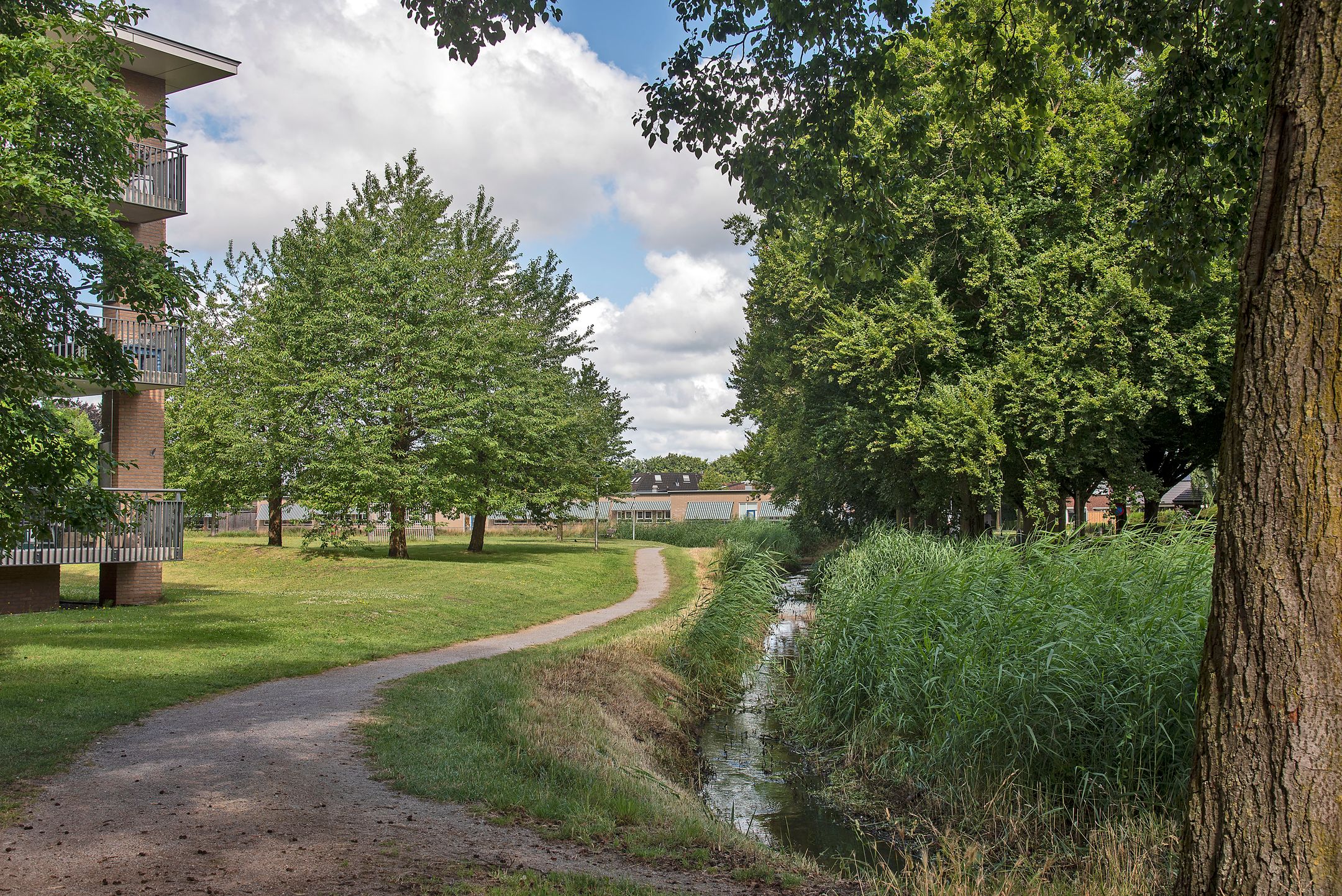 Foto 36 van Wielewaalstraat 21