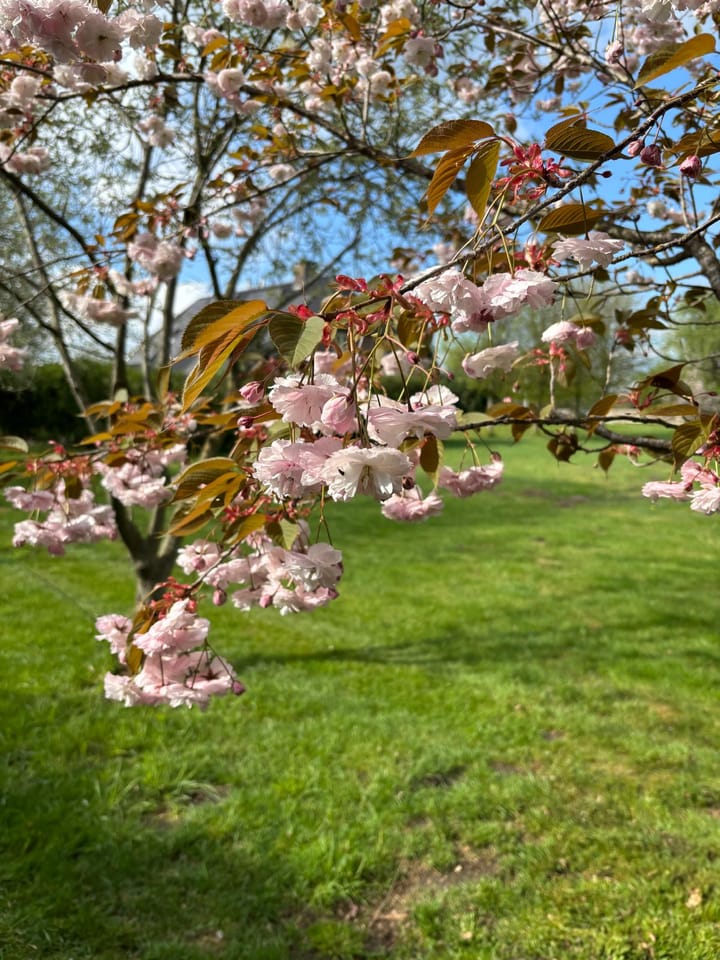 Foto 9 van Raalterweg 87