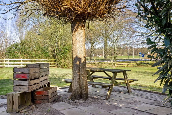 Foto 47 van Raalterweg 87