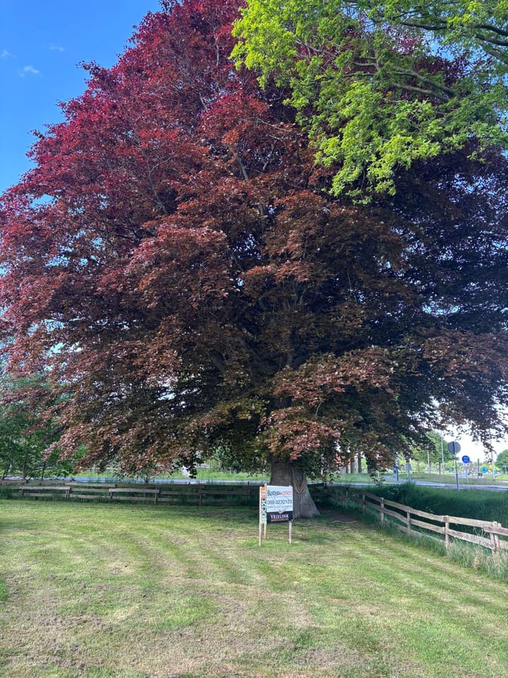 Foto 69 van Raalterweg 87