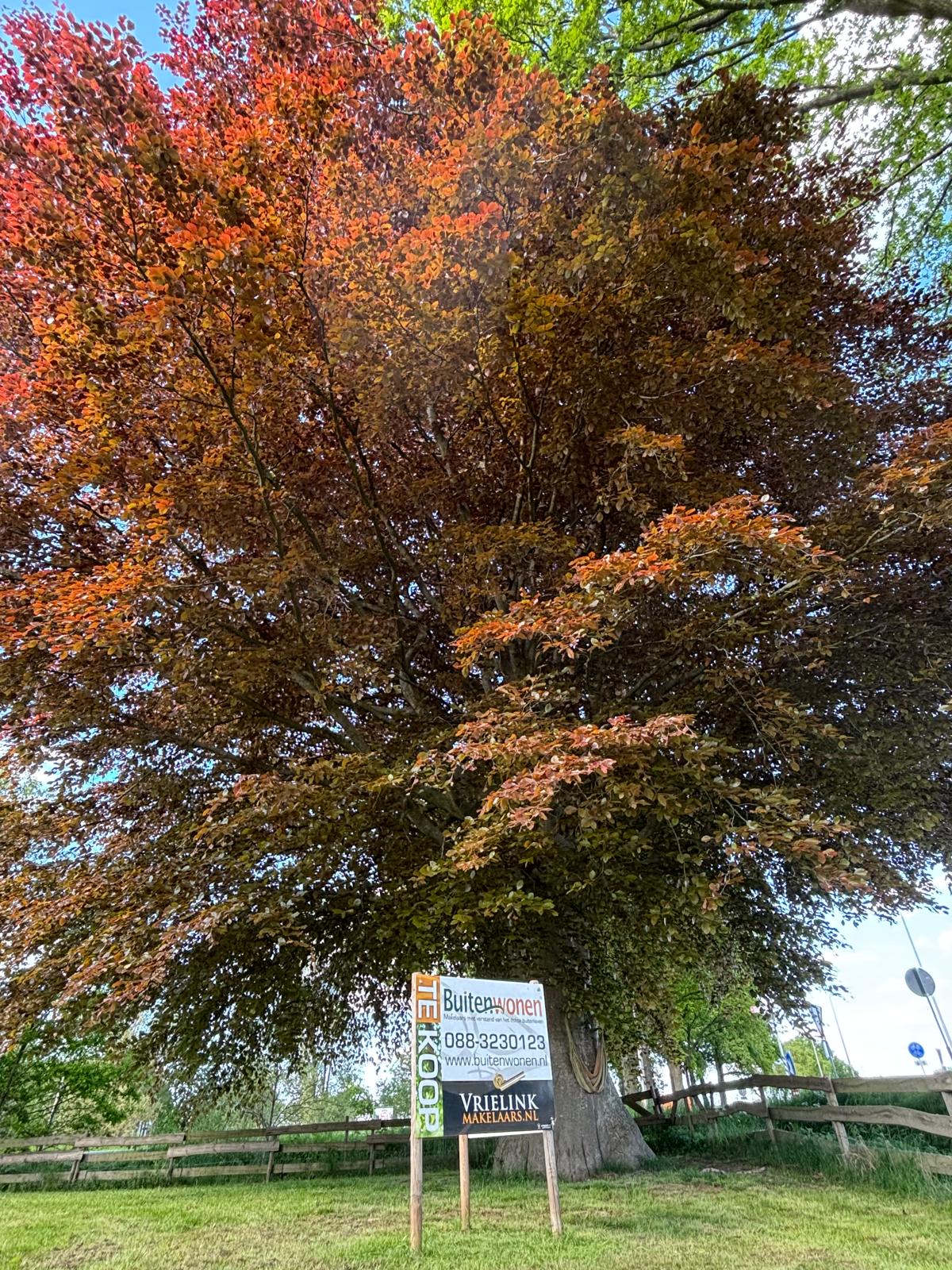 Foto 70 van Raalterweg 87