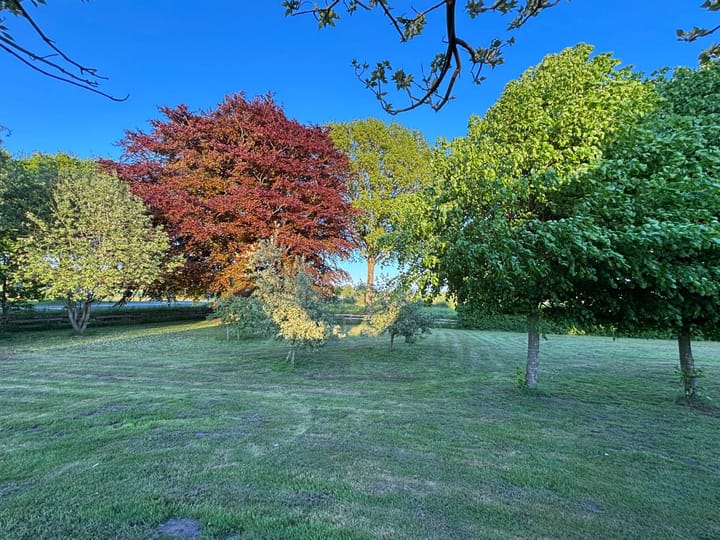 Foto 71 van Raalterweg 87