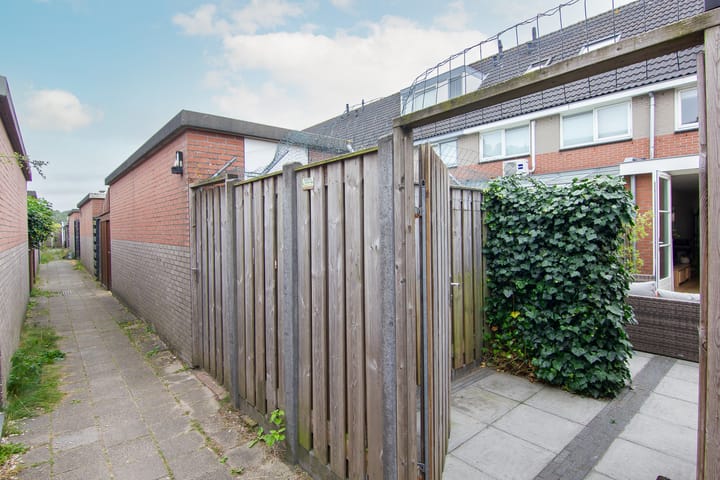 Foto 22 van Tureluur 5