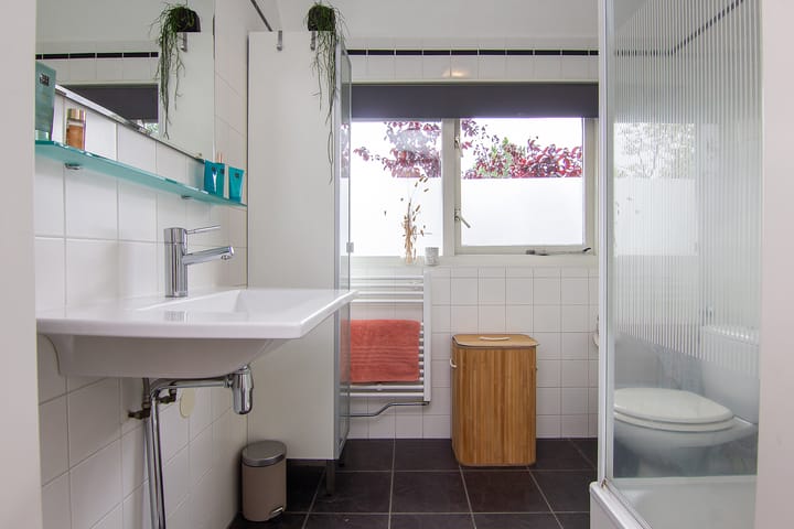 Foto 29 van Tureluur 5