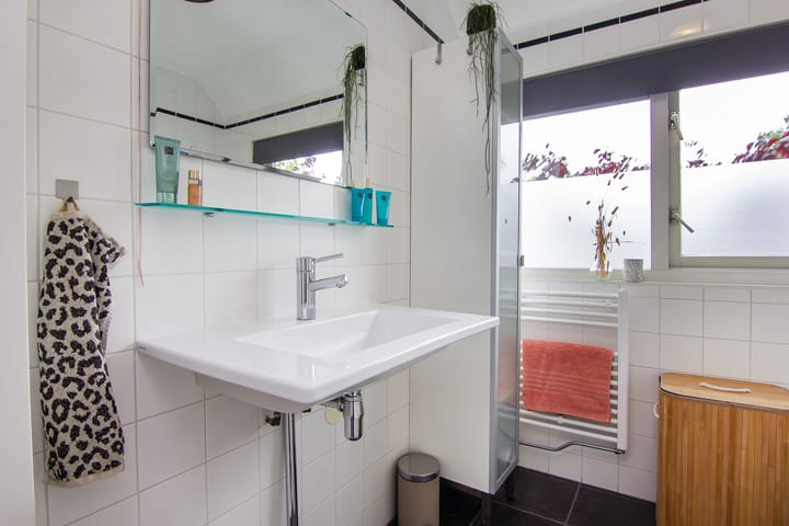 Foto 30 van Tureluur 5