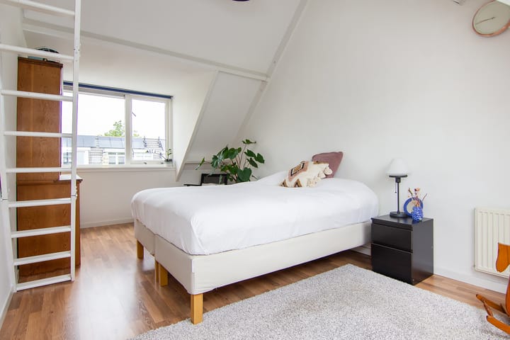 Foto 43 van Tureluur 5