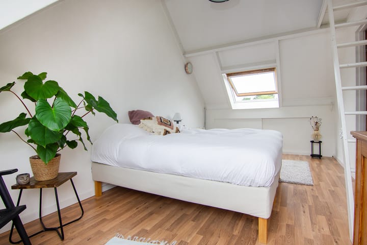 Foto 45 van Tureluur 5