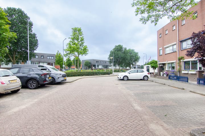 Foto 46 van Tureluur 5