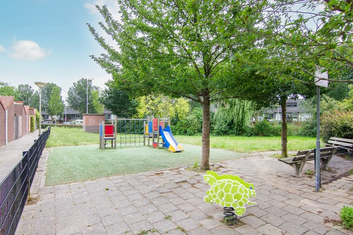 Foto 47 van Tureluur 5