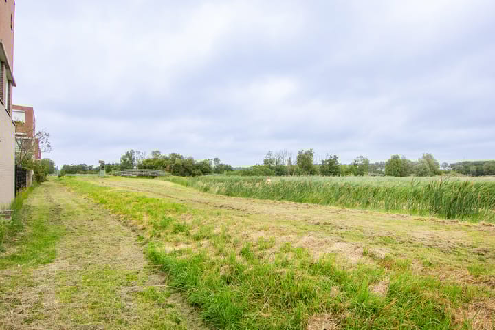 Foto 48 van Tureluur 5