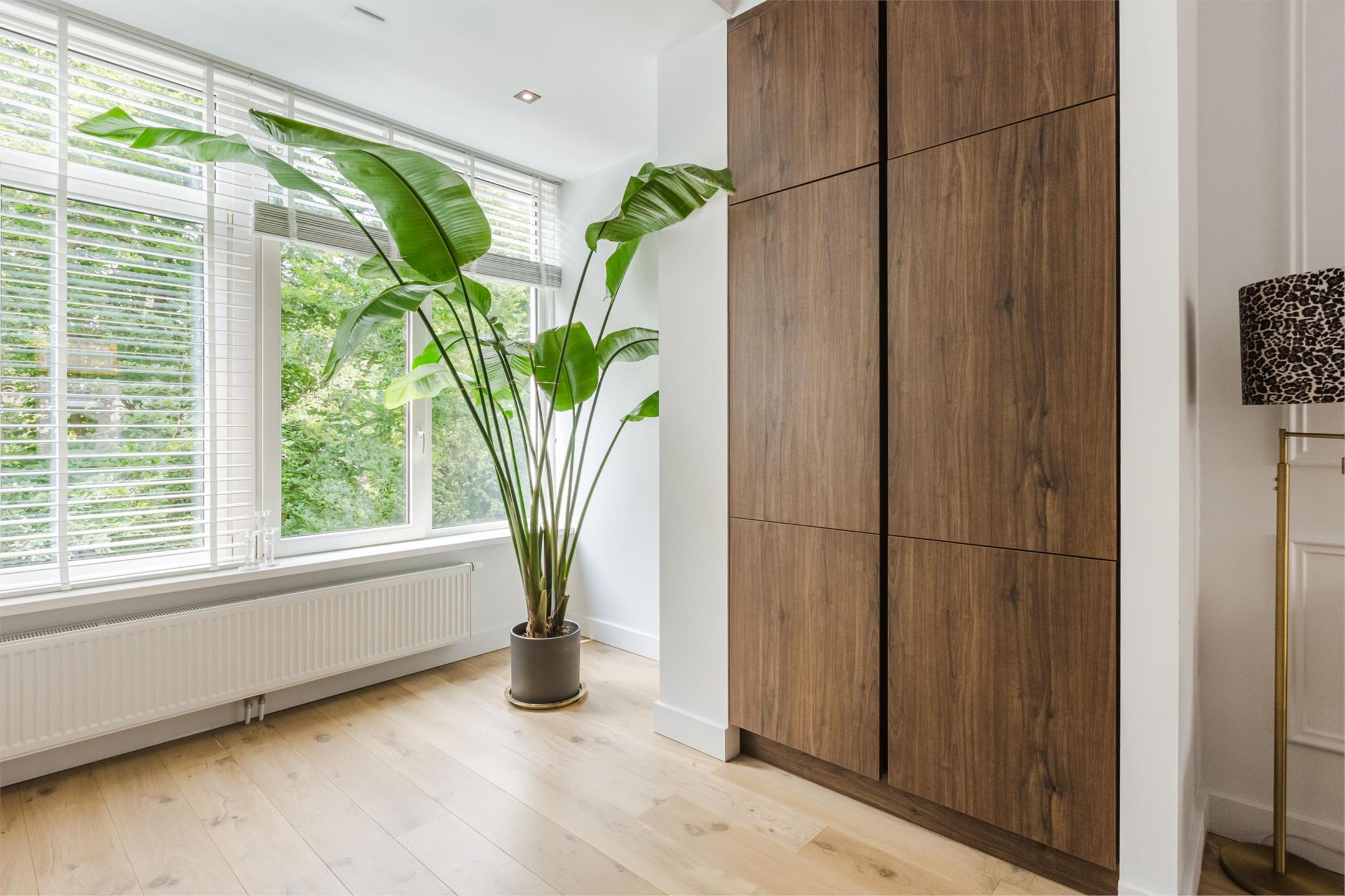 Foto 6 van Admiraal De Ruijterweg 237-2