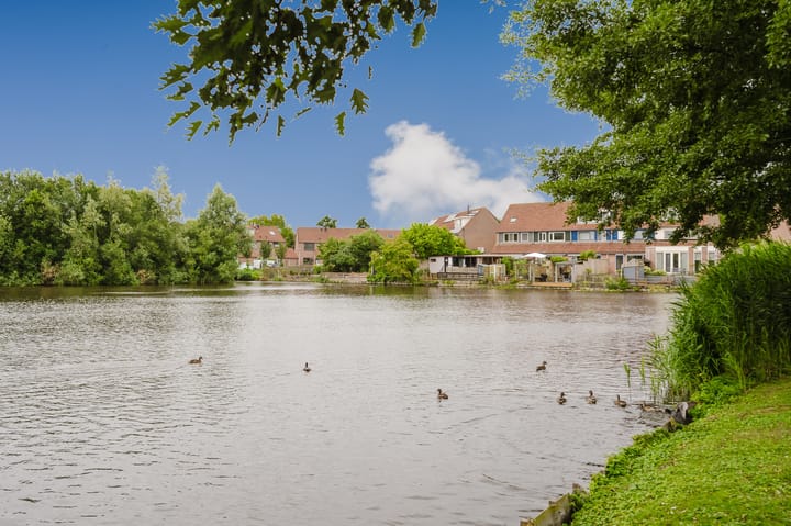 Foto 6 van Glasblazer 37