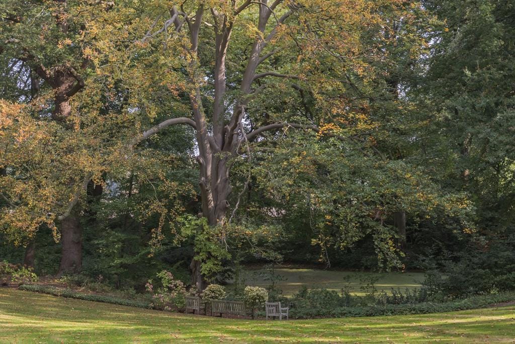 Photo 34 of Herenweg 8-A2