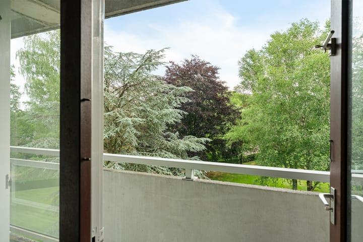 Foto 22 van de Wilmskamp 221