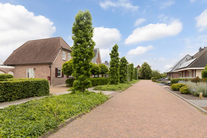 Photo 36 of Twarrelt 6