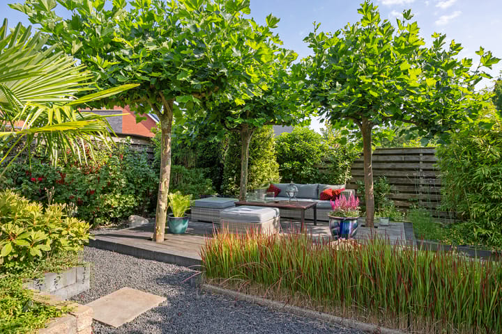 Photo 42 of Overstoep 30