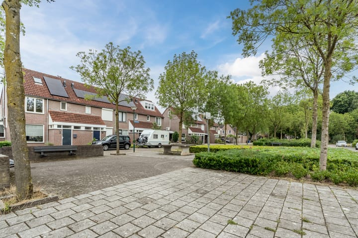 Foto 36 van Boekweit 67