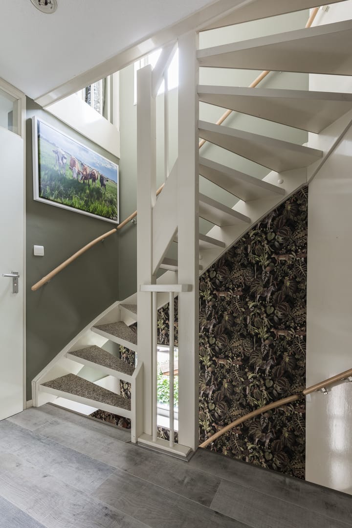 Photo 15 of Theo Thijssensingel 22