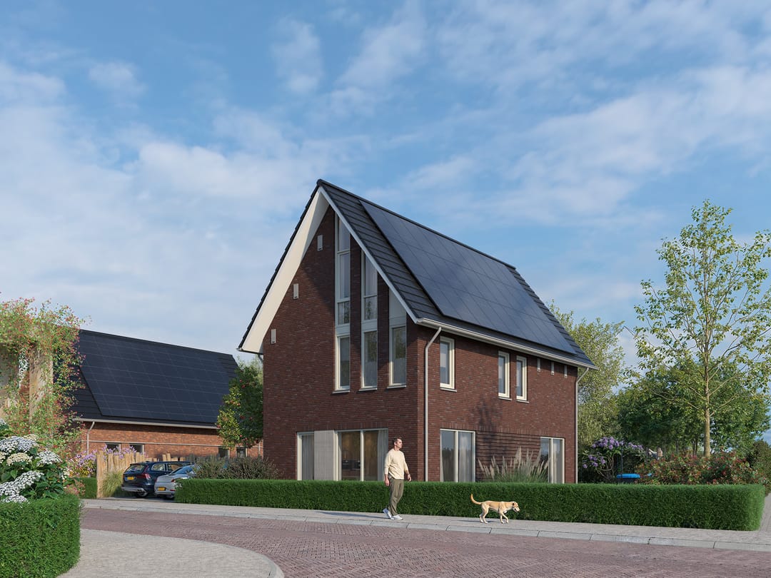 Photo 2 of Kersenbloesem BNR 4