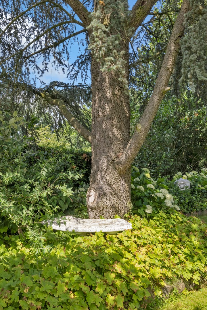 Foto 55 van Hoofdstraat 53