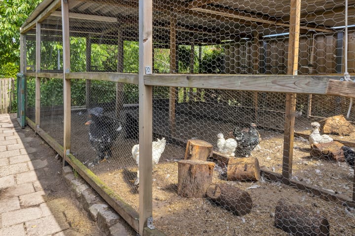 Foto 59 van Hoofdstraat 53