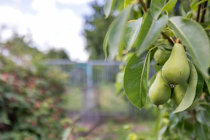 Foto 60 van Hoofdstraat 53