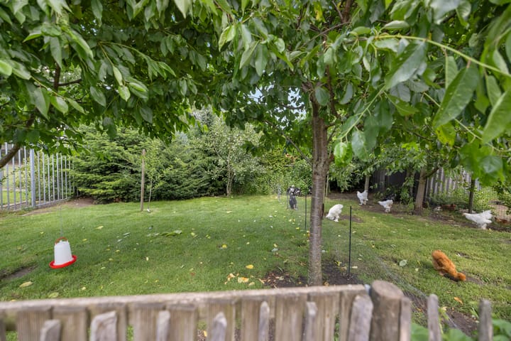 Foto 61 van Hoofdstraat 53