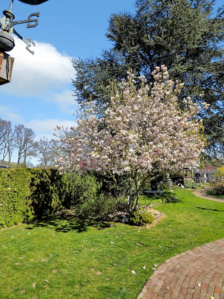 Foto 65 van Hoofdstraat 53