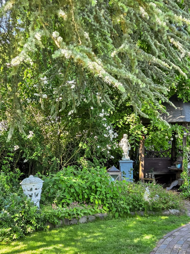 Foto 66 van Hoofdstraat 53