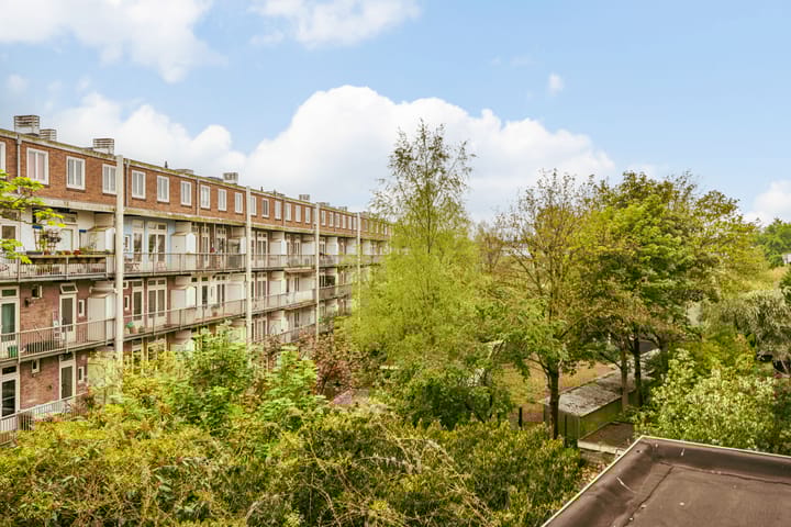 Foto 23 van Trompenburgstraat 43-C