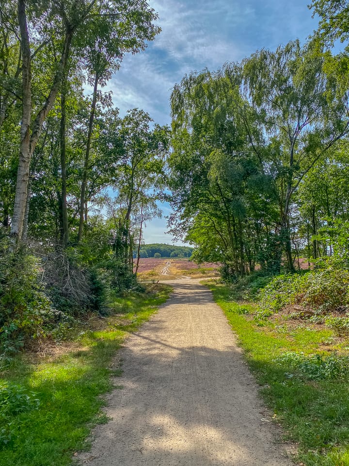 Photo 32 of Karel Doormanlaan 316