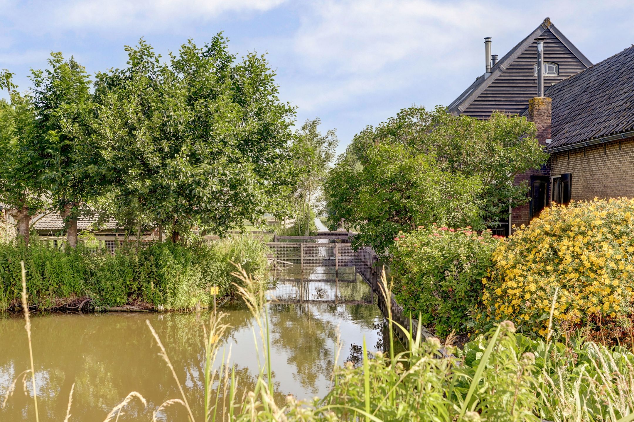 Photo 54 of Benedenberg 103