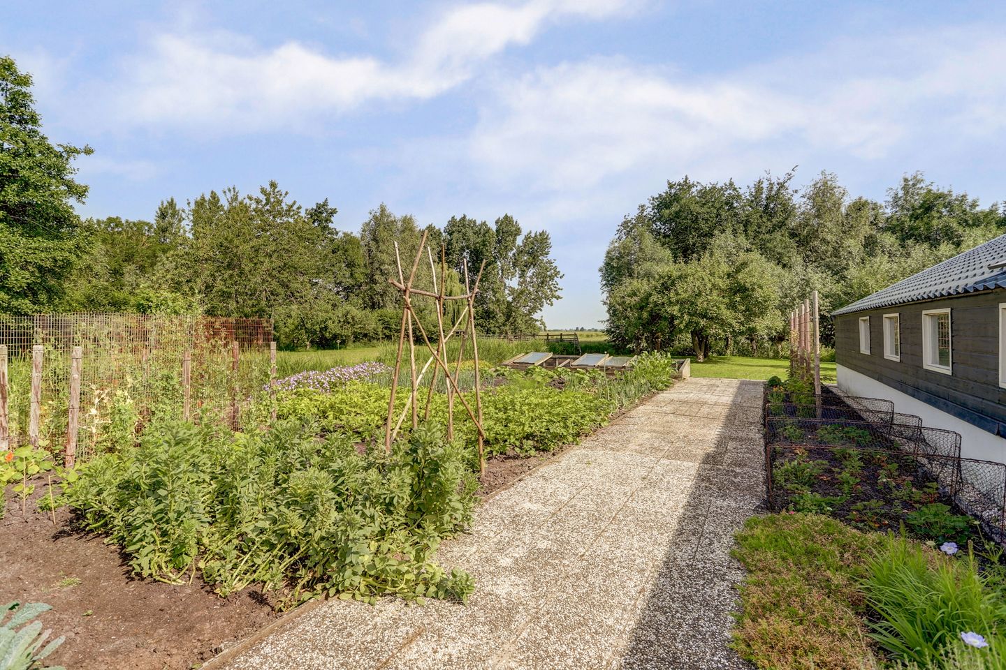 Photo 65 of Benedenberg 103