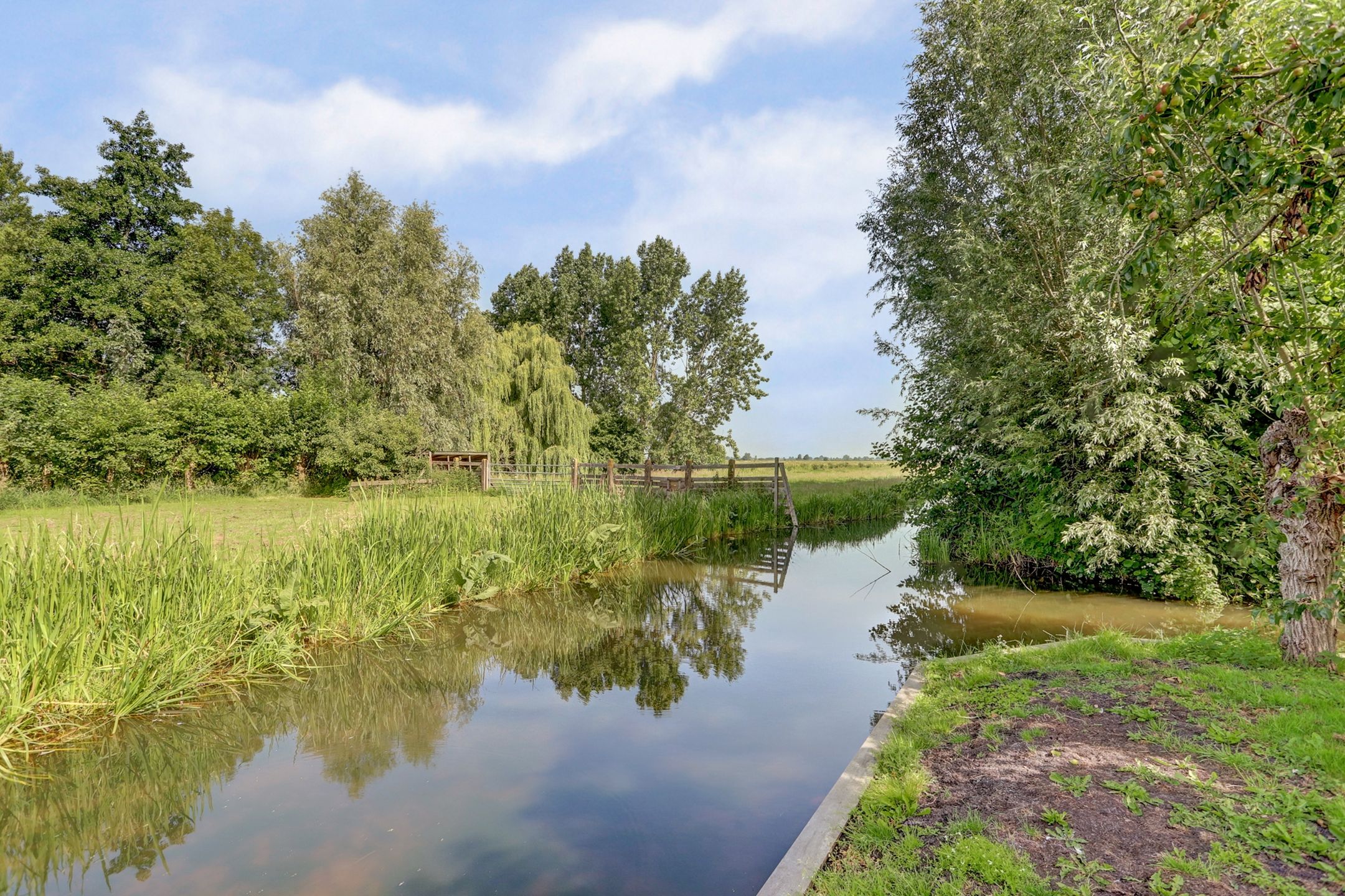 Photo 69 of Benedenberg 103