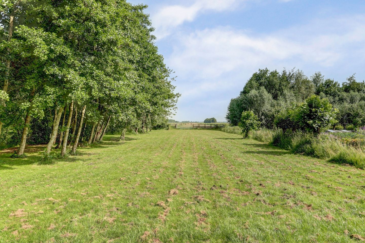 Photo 79 of Benedenberg 103